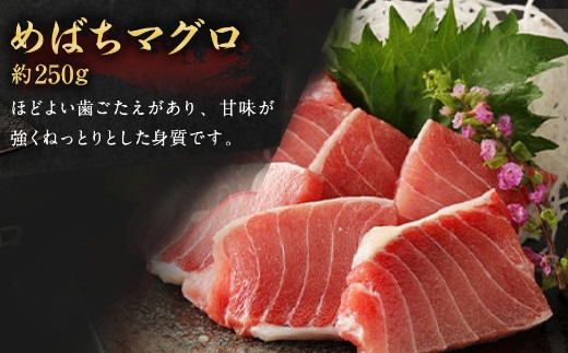 船元が直送! 厳選 天然 マグロ 3種 750g以上 | ミナミマグロ鮪250g メバチ鮪250g ビンチョウ鮪400g 南 目鉢 鬢長 セット まぐろ 食べ比べ みなみまぐろ めばちまぐろ びんちょうまぐろ ワケアリ わけあり 訳あり 刺身 さしみ 刺し身 冷凍 漬け 海鮮 丼 父の日 高知県 室戸市