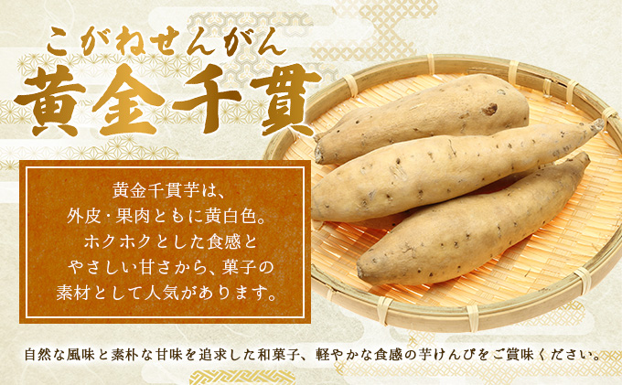 【12回定期便】芋けんぴ 合計1.32kg (110g×12袋) 海洋深層水仕込み 小分けセット 芋ケンピ 芋かりんとう いもかりんとう いもけんぴ 和菓子 芋スイーツ お菓子 国産 さつまいも サツマイモ ご当地 高知県 マツコの知らない世界 [nm076]