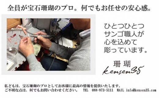 白サンゴのデザインピアス［K18アメリカンピアス］