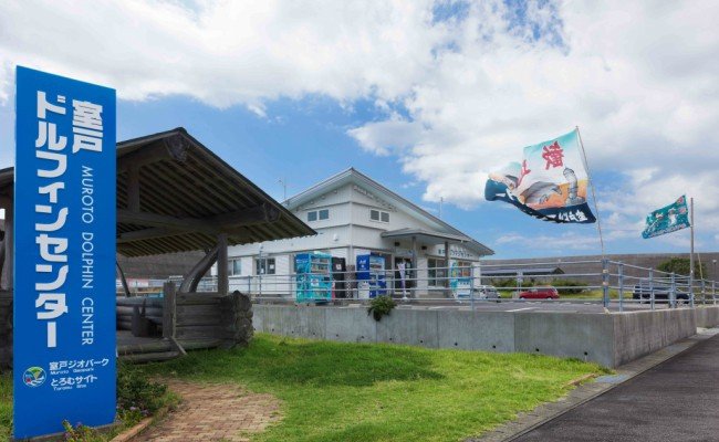 ドルフィンスイム３名（５歳以上小学生）