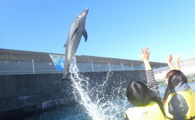 浅瀬ふれあい体験２名（５歳以上小学生）