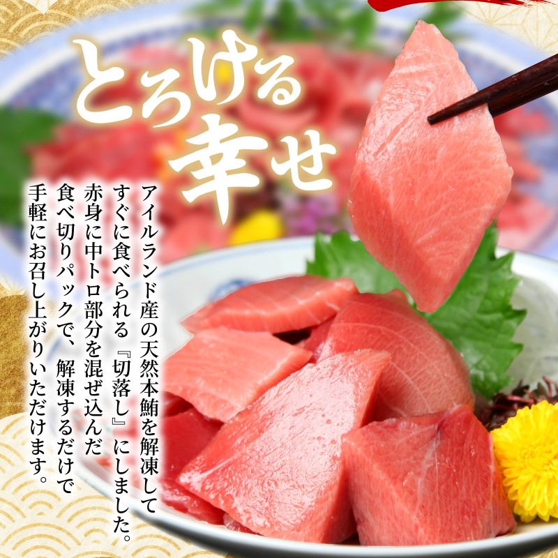  天然本マグロ ( 中トロ ・ 赤身 ) 切落とし 1kg (100g×10パック) マグロ 刺身  魚 惣菜 海鮮丼 魚介類 食べきりサイズ 小分け 冷凍 訳あり 不揃い 送料無料