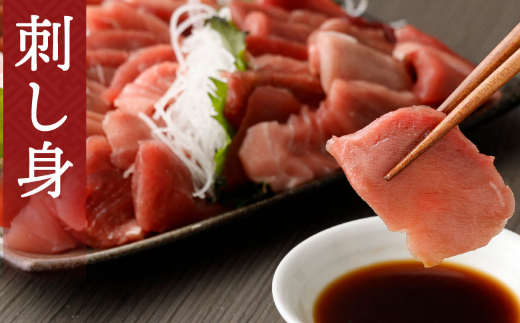 【 6回定期便 】 高豊丸 天然本マグロ 赤身 中とろ 切り落とし 400g (100g×4パック) | マグロ 刺身 刺し身 魚 惣菜 海鮮丼 魚介類 食べきりサイズ 小分け 冷凍 訳あり 不揃い 傷 規格外 