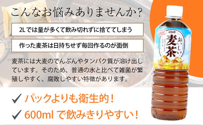 【年12回定期便】DyDo ダイドー おいしい麦茶 合計288本 600ml×24本×12回 麦茶 むぎ茶 カフェインゼロ お茶 飲料水 ペットボトル ドリンク 定期便 12ヶ月 送料無料