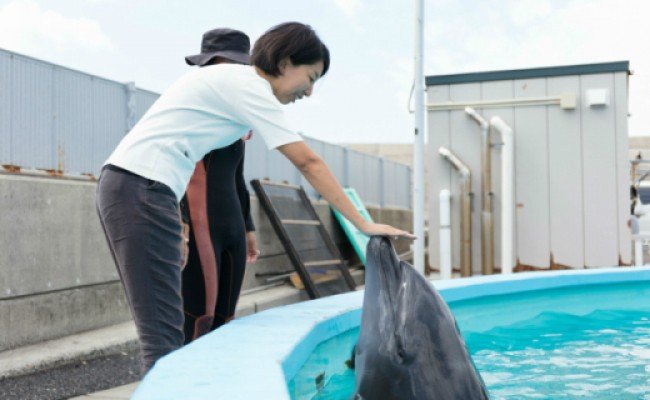 トレーナー体験２名（中学生以上）