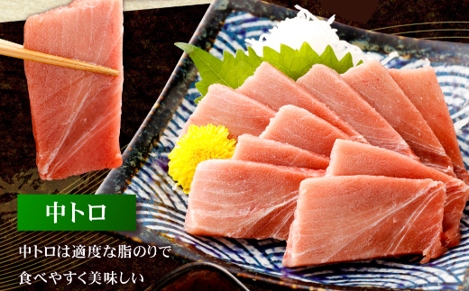 【 定期便 全３回 隔月 お届け 】まぐろの王様！天然本まぐろ味わいセット ２カ月に１回　合計３回  サク 柵 スライス 切落し セット 天然 天然まぐろ 天然マグロ まぐろ 鮪 刺身 お刺身 食べ比べ  高知 室戸 冷凍 小分け 便利 39,000円 送料無料