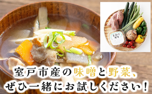  お味噌 (550g) 野菜 (8品) セット  詰め合わせ 旬 おまかせ 新鮮 やさい 味噌 みそ 吉良川みそ 調味料 高知県 室戸市 5000円 送料無料