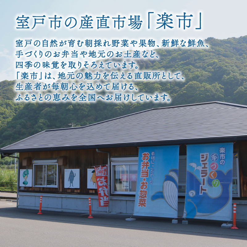 【大好評】濃厚 ミルクジェラート 10個 アイス アイスクリーム 家庭用  [rk045]