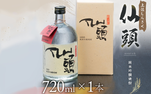 純米吟醸焼酎 仙頭 土佐しらぎく ７２０ｍｌ