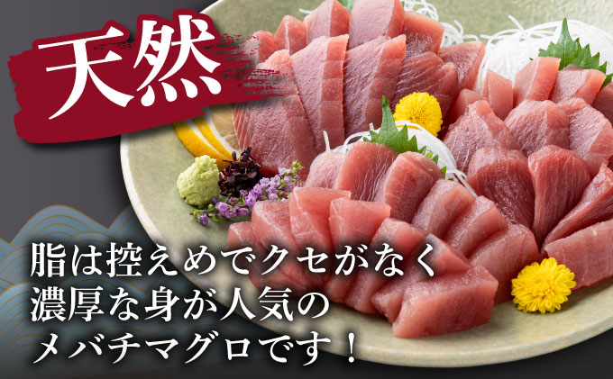 【 6回定期便 】 【訳あり】天然メバチマグロ 480ｇ (不揃い柵)　サク 柵 メバチ 目鉢 マグロ 鮪 まぐろ 100% 冷凍 刺身 海鮮 丼 刺し身 小分け 高知 室戸