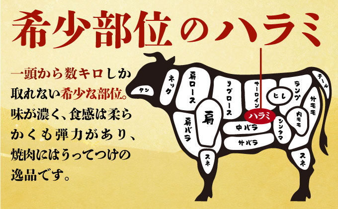 ヤマジュウの特製タレ漬け！和牛ハラミ肉１ｋｇ