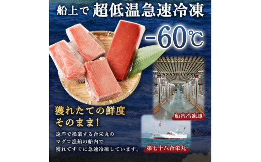 船元が直送! 厳選 天然 本マグロ 中トロ・赤身 食べ比べセット 約600g | 中トロ 約200g 赤身 約400g | 本鮪 本まぐろ クロマグロ 魚 惣菜 まぐろ ワケアリ わけあり 訳あり 中とろ あかみ 刺身 さしみ 刺し身 冷凍 漬け 海鮮 丼 父の日 高知県 室戸市