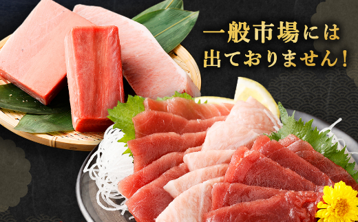 船元が直送! 厳選 天然 本マグロ 3種類 セット 合計約600g | 大トロ 200g・ 中トロ 200g・ 赤身 200g |) ふるさと納税 限定 食べ比べ サク ブロック 魚 惣菜 刺身 鮪 まぐろ丼 父の日 お刺し身 さしみ 訳あり 訳アリ ワケアリ 魚介 手巻き寿司 海鮮丼 漬け丼 冷凍 高知県 室戸市