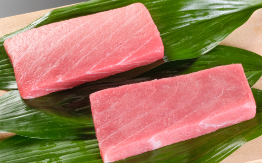 厳選本マグロ赤身、中トロ食べくらべ【誉丸】