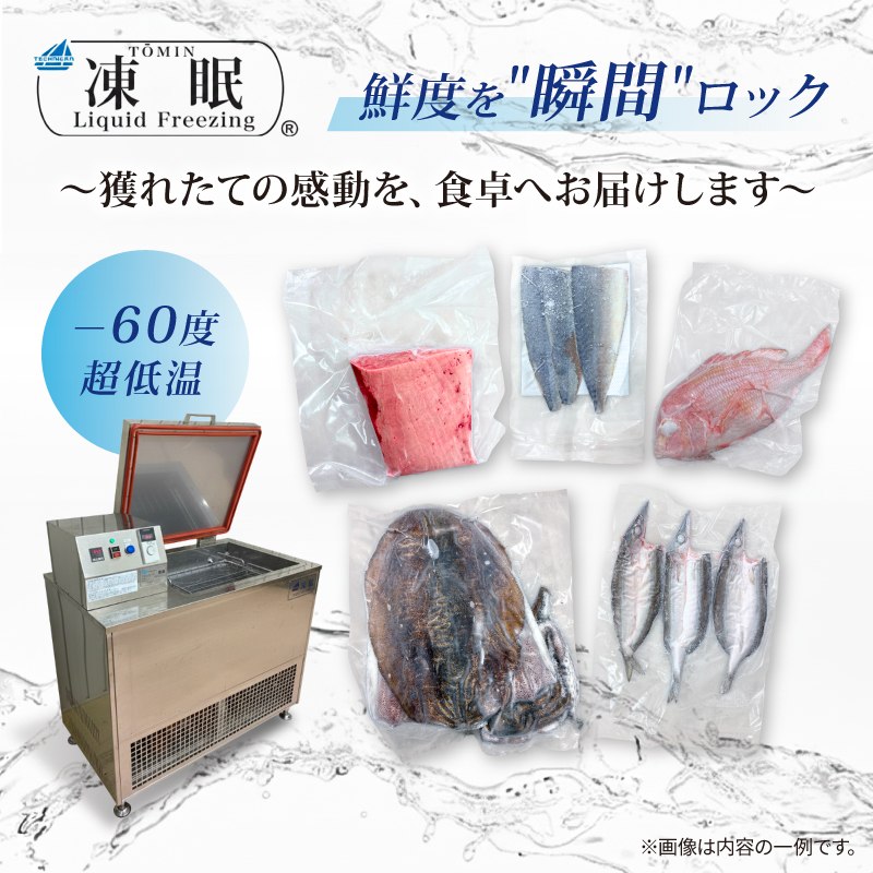 天然 キハダマグロ 海鮮丼 170g×3P 冷凍 赤身 海鮮 マグロ まぐろ 鮪 刺身 小分け 真空パック お手軽 夕食 晩御飯 ランチ  惣菜 おかず おつまみ 自宅用 家庭用  贈答 ギフト お歳暮 訓栄丸水産 高知県 室戸市	
