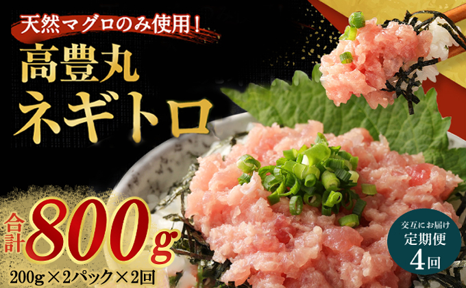 【交互定期便 / ４ヶ月連続】 土佐流藁焼きかつおのたたき2節と高豊丸ネギトロ400ｇ  魚介類 海産物 カツオ 鰹 わら焼き 高知 海鮮 冷凍 家庭用 訳あり 不揃い  連続 藁焼き かつおのたたき かつお タタキ まぐろ 鮪 マグロ ネギトロ ねぎとろ