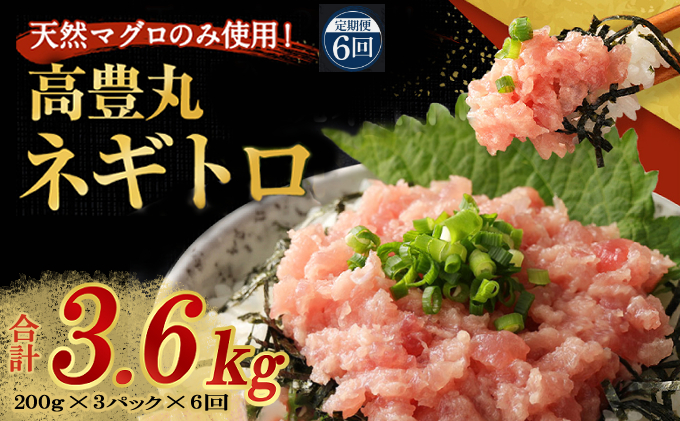 【定期便 / ６ヶ月連続】 土佐流藁焼きかつおのたたき１節と高豊丸ネギトロ６００ｇセット   魚介類 海産物 カツオ 鰹 わら焼き 高知 海鮮 冷凍 家庭用 訳あり 不揃い  連続 藁焼き かつおのたたき かつお タタキ まぐろ 鮪 マグロ ネギトロ ねぎとろ