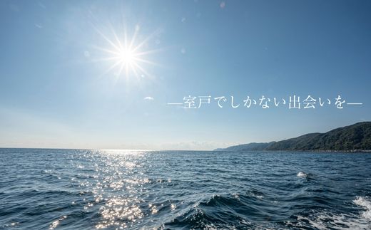 室戸からの招待状「海来に乗船していざ深海生物漁業体験」試食付 体験 船内設備あり クルージング 子どもから大人まで 夏休み 思い出