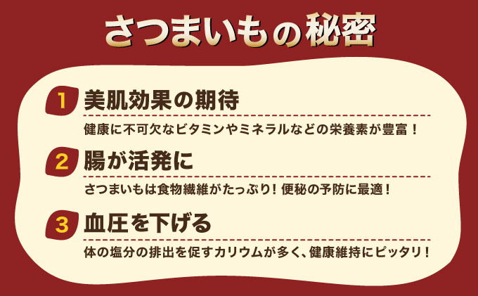 【先行予約】さつまいも ３種類 合計3kg 食べ比べ セット 詰め合わせ (金時さつまいも・紅はるか・シルクスイート・紫芋・フルーツこがね・ハロウィンスイート・土佐紅・みついもよりお届け) サツマイモ さつま芋 焼き芋 やきいも 6000円 野菜 故郷納税 送料無料