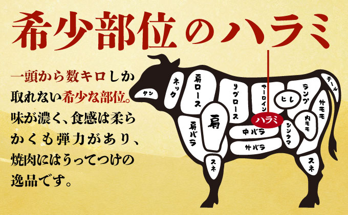 ヤマジュウの特選タレ漬け！牛ハラミ肉１ｋｇ＆国産牛ホルモン６００ｇ