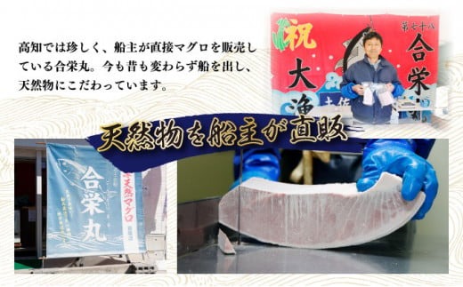 船元が直送! 厳選 天然 本マグロ 中トロ・赤身 食べ比べセット 約600g | 中トロ 約200g 赤身 約400g | 本鮪 本まぐろ クロマグロ 魚 惣菜 まぐろ ワケアリ わけあり 訳あり 中とろ あかみ 刺身 さしみ 刺し身 冷凍 漬け 海鮮 丼 父の日 高知県 室戸市