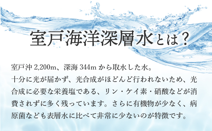 佐喜浜キクラゲ（天日干し）　計３００ｇ　３０g×１０袋 詰め合わせセット