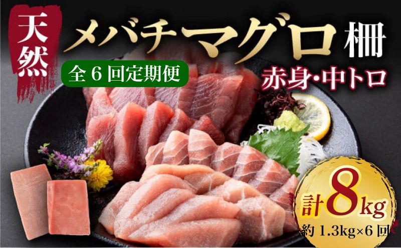 【 6回定期便 】 【 天然まぐろ 】 中トロ 赤身 柵 計1.3kg以上 サク さく 天然 めばち マグロ 鮪 まぐろ 100% 冷凍 刺身 海鮮 丼 刺し身 小分け 高知 室戸