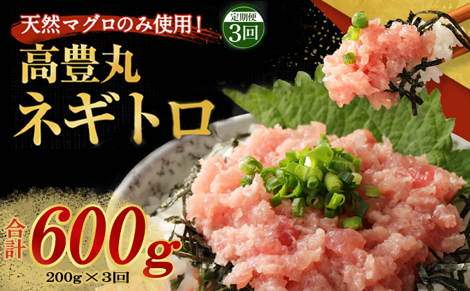 【定期便 / ３ヶ月連続】 土佐流藁焼きかつおのたたき１節と高豊丸ネギトロ２００ｇセット   魚介類 海産物 カツオ 鰹 わら焼き 高知 海鮮 冷凍 家庭用 訳あり 不揃い  連続 藁焼き かつおのたたき かつお タタキ まぐろ 鮪 マグロ ネギトロ ねぎとろ