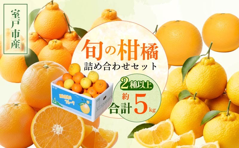 【柑橘 詰め合わせ 5㎏ 訳あり】 旬 食べ比べ 2種以上 セット ミカン みかん 蜜柑 ポンカン ぽんかん せとか デコポン 不知火 しらぬい なつみ 小夏 フルーツ ふるーつ くだもの 果物 青果 柑橘類 訳アリ わけあり 規格外 不揃い 傷 産地直送 産直 旬 期間限定 予約 家庭用 自宅用 お取り寄せ 西山台地のフルーツ園 高知県 室戸市