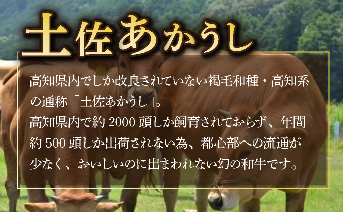 土佐あかうしと四万十ポークのハンバーグ　１０個セット