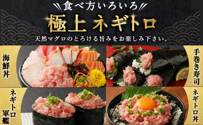 【ふるさと納税】【訳あり】【緊急支援品】高豊丸 ネギトロ 2kg (200g×10パック) ふるさと納税限定 高品質 ねぎとろ マグロ 鮪 まぐろ たたき まぐろのたたき 訳あり おかず 魚介 魚 寿司 すし 海鮮 小分け 海鮮丼 手巻き寿司 冷凍 故郷納税 送料無料