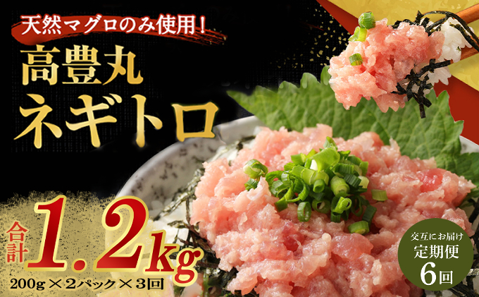 【交互定期便 / ６ヶ月連続】 土佐流藁焼きかつおのたたき2節と高豊丸ネギトロ400ｇ  魚介類 海産物 カツオ 鰹 わら焼き 高知 海鮮 冷凍 家庭用 訳あり 不揃い  連続 藁焼き かつおのたたき かつお タタキ まぐろ 鮪 マグロ ネギトロ ねぎとろ