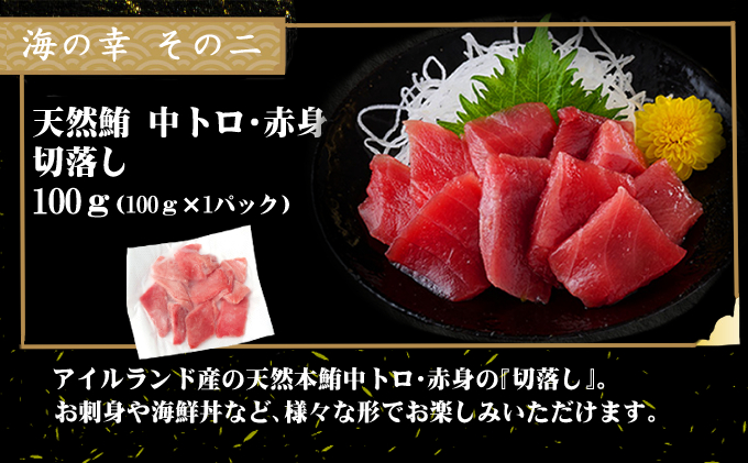 室戸の海の幸バラエティセット 5種詰め合わせ 33,000円コース まぐろ マグロ カツオ かつおたたき 伊勢海老 伊勢えび  ネギトロ 福袋 セット 正月 高知 室戸