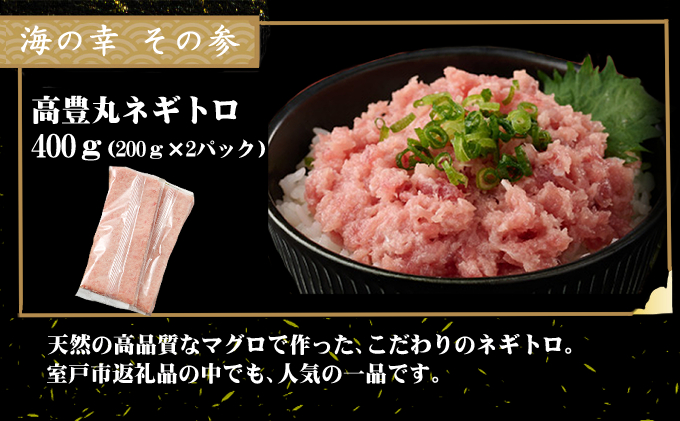 室戸の海の幸バラエティセット 5種詰め合わせ 63,500円コース まぐろ マグロ カツオ かつおたたき 伊勢海老 伊勢えび  ネギトロ 福袋 セット 正月 高知 室戸