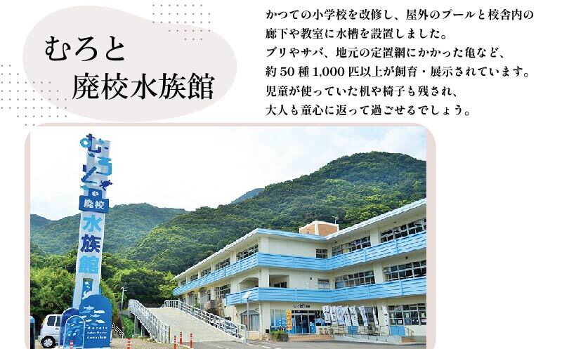 伊勢海老 冷凍 2kg いせえび 海老 えび エビ イセエビ 冬眠冷凍 家庭用 海鮮 鮮度 産地直送 漁師直送 刺し身 味噌汁 だし ふるさと納税 高知県 室戸市