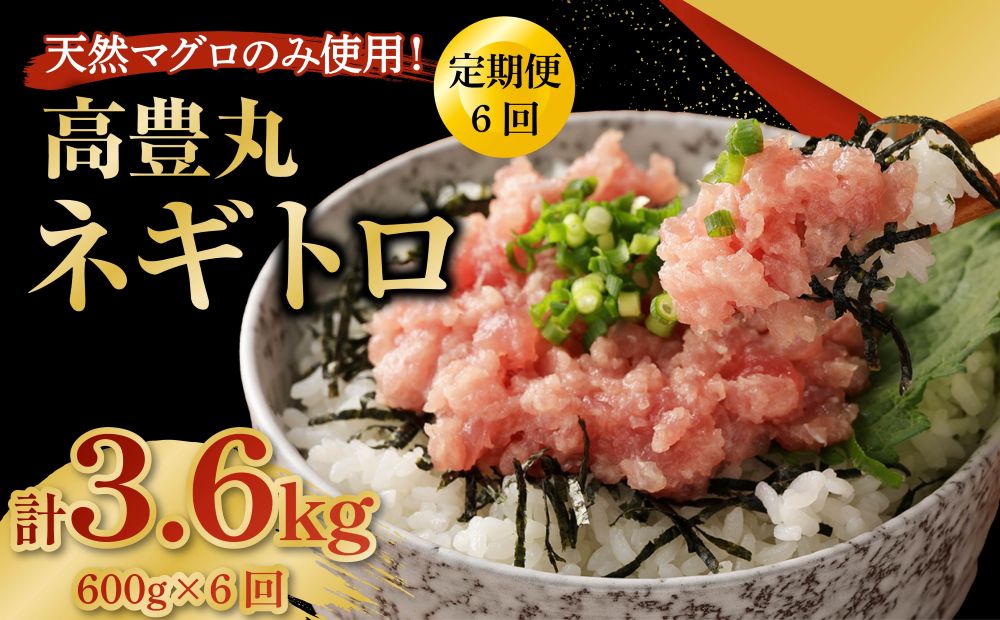 【6回定期便】【訳あり】高豊丸 ネギトロ 合計3.6kg (600g×6回) ふるさと納税限定 高品質 マグロ たたき まぐろのたたき 訳あり 寿司 小分け 海鮮丼 手巻き寿司 惣菜 規格外 不揃い 冷凍 頒布会