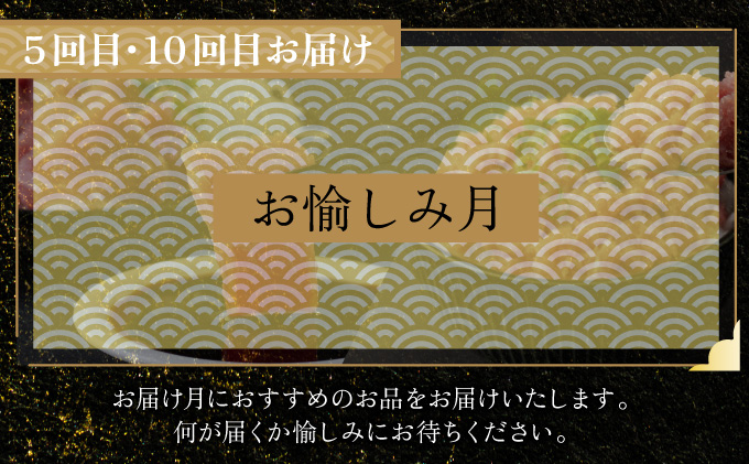＼贅沢定期便 ≪ シン ≫／ 全10回【厳選 高知の海鮮セット】本まぐろ かつおのたたき ネギトロ 水産会社直送の海鮮詰め合わせ 食べ比べ