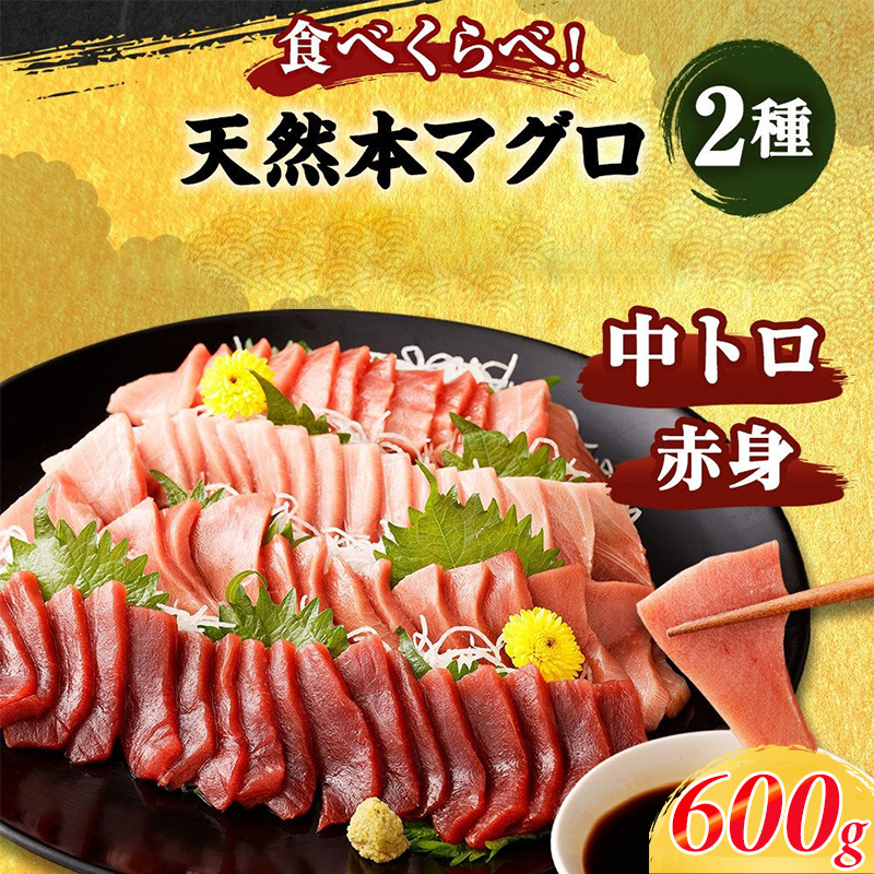 船元が直送! 厳選 天然 本マグロ 中トロ・赤身 食べ比べセット 約600g | 中トロ 約200g 赤身 約400g | 本鮪 本まぐろ クロマグロ 魚 惣菜 まぐろ ワケアリ わけあり 訳あり 中とろ あかみ 刺身 さしみ 刺し身 冷凍 漬け 海鮮 丼 父の日 高知県 室戸市