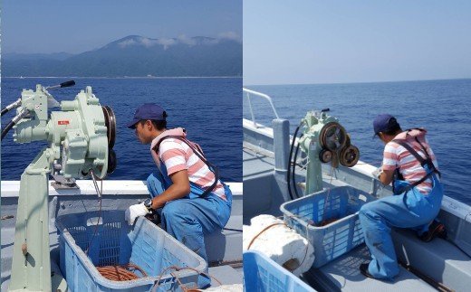 室戸からの招待状「海来に乗船していざ深海生物漁業体験」試食付