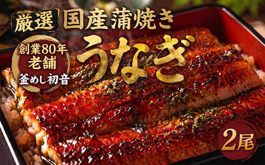 ７０年つぎ足しの秘伝のたれ！初音の厳選高知県産うなぎ蒲焼き２尾 ＿ 国産 ウナギ 鰻 うなぎ 蒲焼き 秘伝のタレ 土用の丑の日