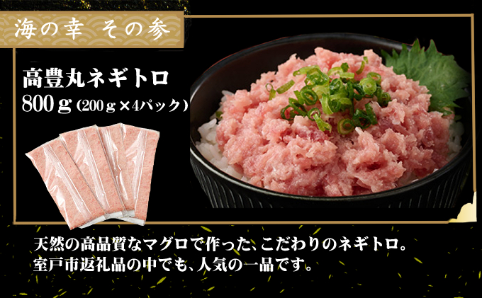 室戸の海の幸バラエティセット 5種詰め合わせ 100,000円コース まぐろ マグロ カツオ かつおたたき 伊勢海老 伊勢えび  ネギトロ 福袋 セット 正月 高知 室戸