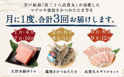 【3回定期便】海からの贈り物！マグロとカツオの定期便 まぐろ カツオのたたき ネギトロ 中トロ 刺身 海鮮 鰹 冷凍 コロナ 魚 海産物 魚介類 高知県 まぐろたたき 鮪 緊急支援品 藁焼き わら焼き 訳あり 不揃い 傷 規格外 故郷納税 送料無料