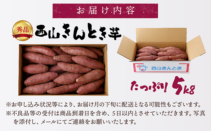 【秀品】西山きんとき芋５ｋｇ＜サツマイモ・焼き芋にオススメ＞