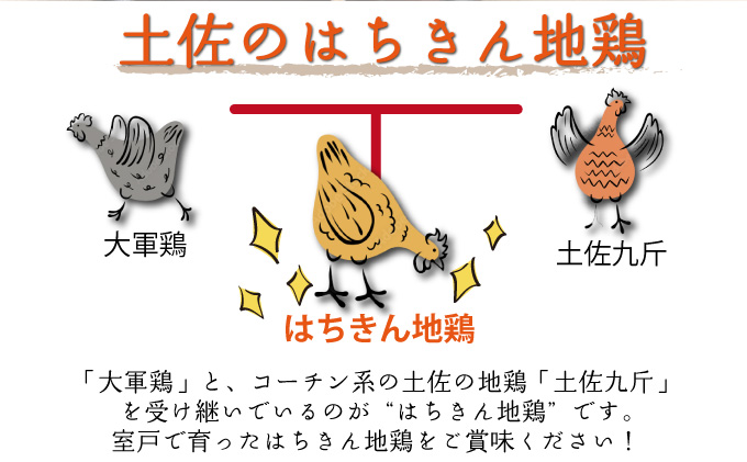 【ふるさと納税】【２〜３人前】はちきん地鶏のモモ肉　500ｇカット 国産 鶏肉 バーベキュー 鍋 惣菜 唐揚げ 6000円 冷凍 送料無料