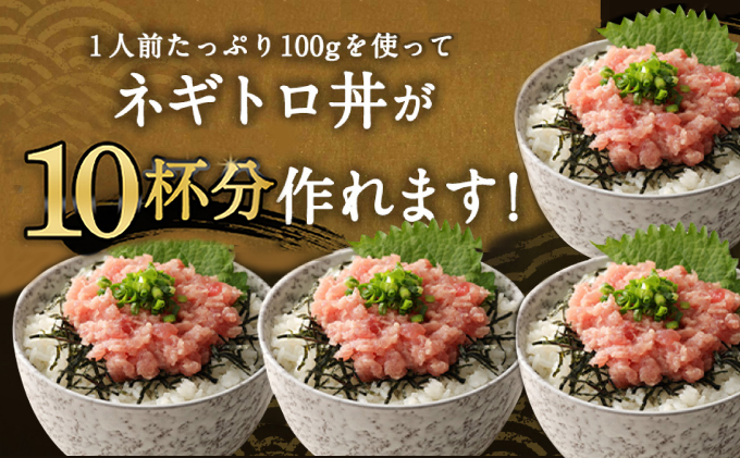 ネギトロ 魚 惣菜 1kg (200g×5パック) 高豊丸  高品質 まぐろたたき まぐろのたたき 小分け 魚 魚介 鮪 マグロ 寿司 すし 海鮮 おかず 海鮮丼 手巻き寿司 冷凍 10000円 故郷納税 送料無料 訳あり