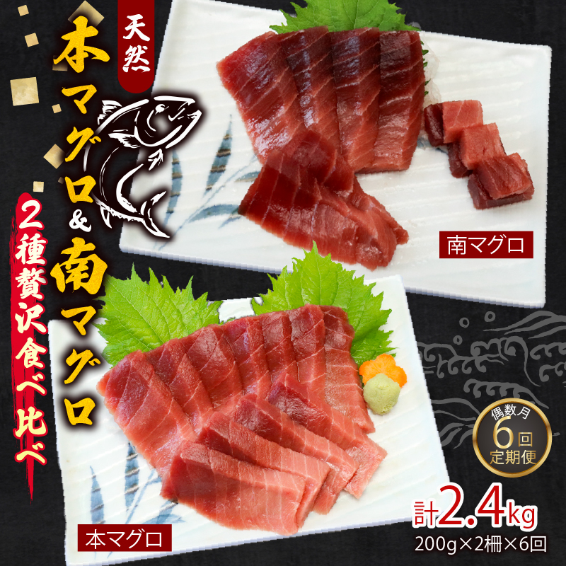 【６回定期便】天然本マグロ 天然南マグロ 中トロ 各1柵 偶数月 まぐろ 鮪 鮮魚 刺身 寿司 高級 食べ比べ
