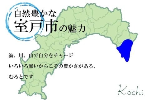 【 定期便 5回 】 厳選天然本マグロ 600g | 大トロ 中トロ 赤身 食べ比べ 刺身 刺し身 さしみ 海鮮丼 寿司 魚 ふるさと納税 限定 食べ比べ まぐろ 鮪 魚 魚介類 刺身 海鮮 まぐろ丼 手巻き寿司 冷凍 サク とろ 漬け丼 ふるさと納税定期便 ふるさと納税マグロ 20万円 10万円 頒布会 訳あり 人気 定期便 数量限定 期間限定 訳アリ 訳あり わけあり 高知県 室戸市