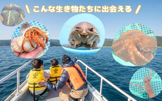 室戸からの招待状「海来に乗船していざ深海生物漁業体験」試食付 体験 船内設備あり クルージング 子どもから大人まで 夏休み 思い出