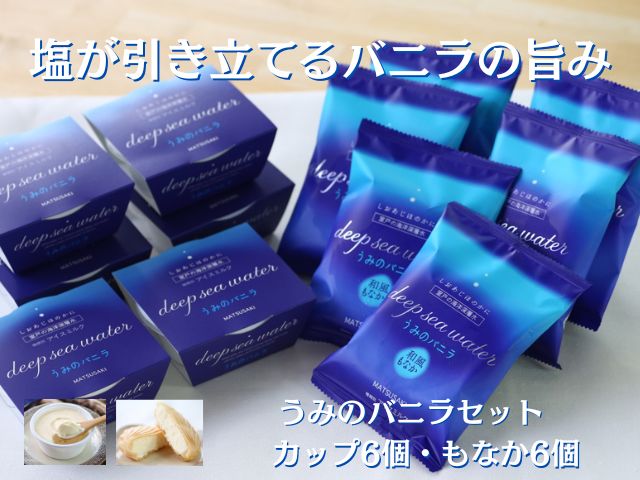 【TVで紹介！】塩バニラアイス 12個 最中 カップ 室戸海洋深層水使用 高知 アイス アイスクリーム ご当地アイス ご当地スイーツ 塩 スイーツ もなか 最中 カップアイス 詰合せ 詰め合わせ ギフト