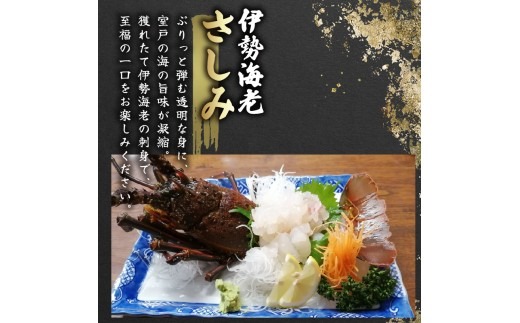 活 伊勢海老 訳あり 500g(1～3匹) 冷蔵 – 活き伊勢海老 訳あり 室戸産 国産 エビ えび 海鮮 魚介 産地直送 プリプリ 味噌汁 刺身 焼き物 汁物 室戸海洋深層水 黒潮 高知県 室戸市 ki001